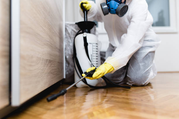  Laredo, TX Pest Control Pros