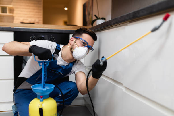 Best Cockroach Control Services  in Laredo, TX