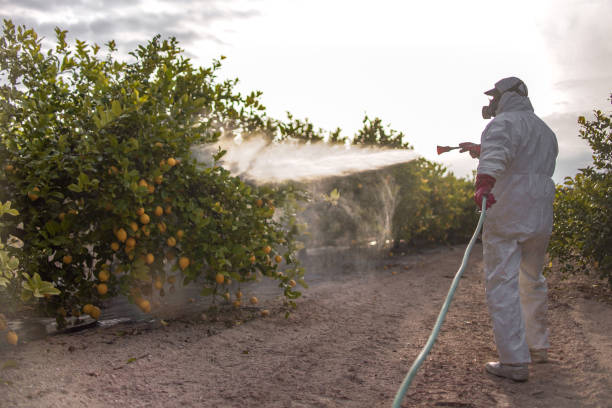 Best Bird Control  in Laredo, TX